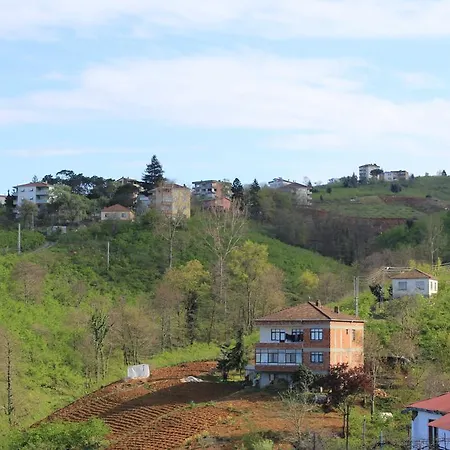 Green Village *